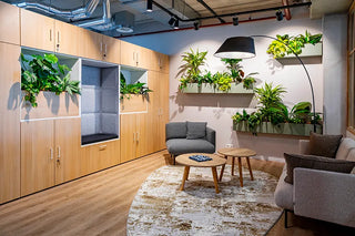 Hushlock