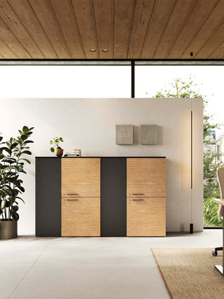 Madia storage cabinet